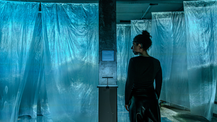 Landscape of Perception